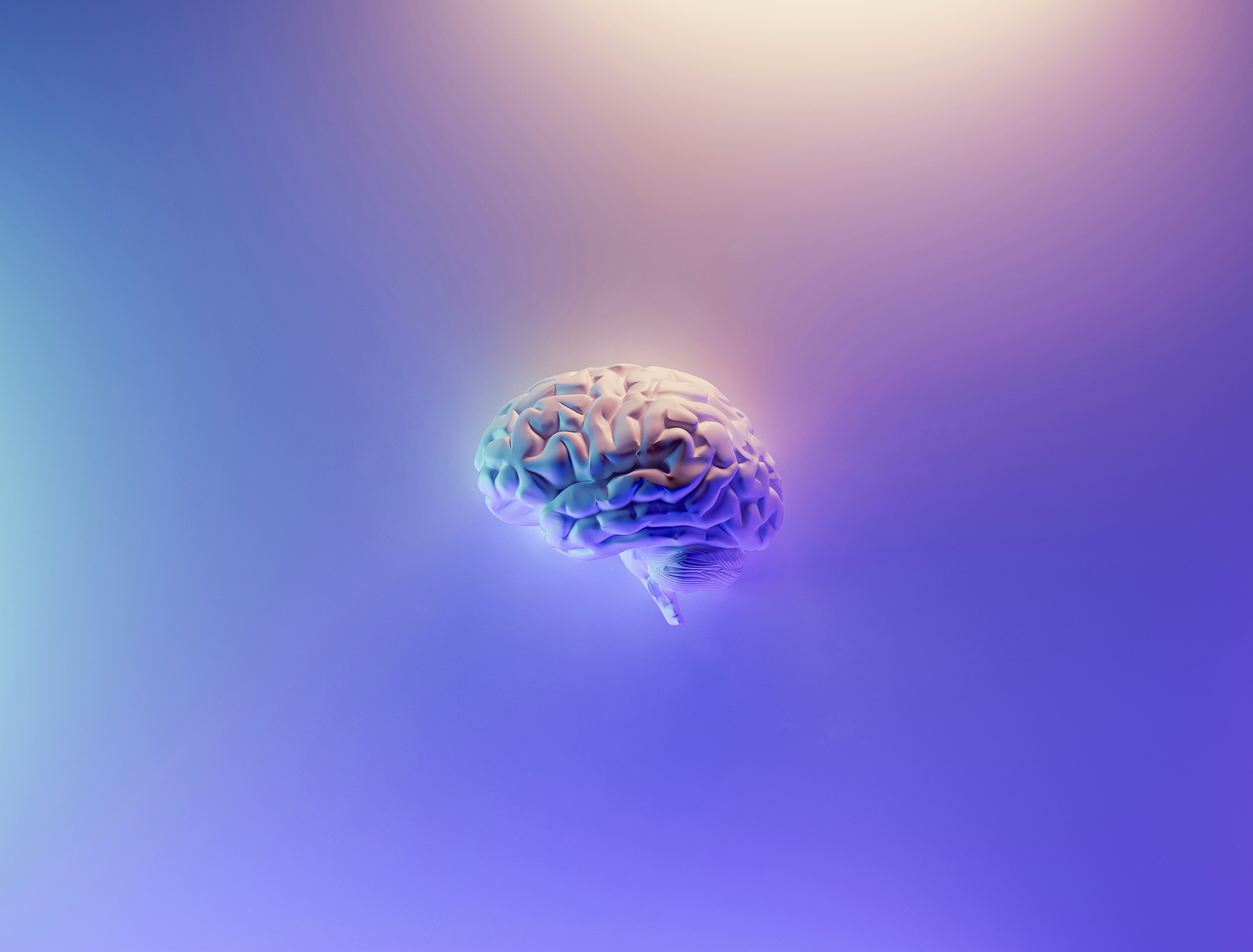 Discover where AI will actually make a difference